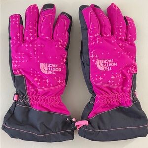 The North Face Fuchsia and Charcoal Gloves Hyvent